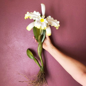 Orchid carved in wood