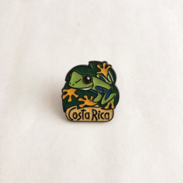 Costa Rica frog pin