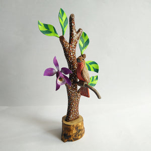 Tree in wood with bird and flower