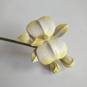 White Orchid made of wood